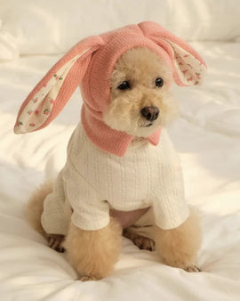 Cheerhunting Rabbit Ears Hat