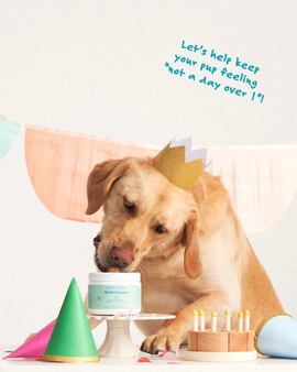 BOCCE'S BAKERY Multivitamin Supplements