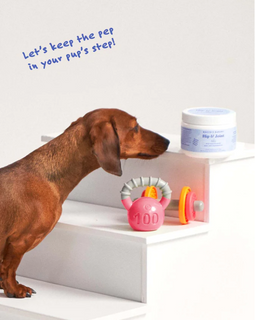 BOCCE'S BAKERY Hip & Joint Supplements