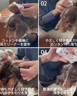 ORP Revival Water Anti-inflammatory Ear Cleaner