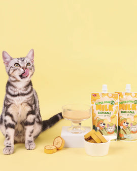 Super Paw Pet Milk Single Pack (Banana) 150mL