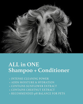 iGROOM All in One Pet Shampoo + Conditioner