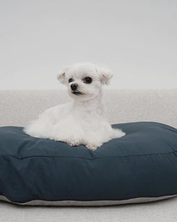 HOWLPOT Basic Cushion - Navy