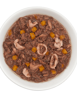 Tiki Cat Aloha Friends Tuna Calamari & Pumpkin