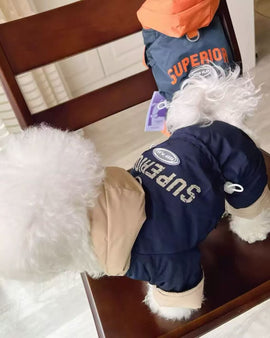 One Piece Down Hooded Puff Jacket