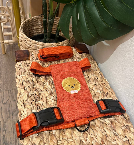 Poodle Embroidery Harness Set