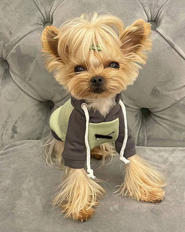 Green & Grey Bi-color Little Explorer Hoodie