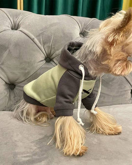 Green & Grey Bi-color Little Explorer Hoodie