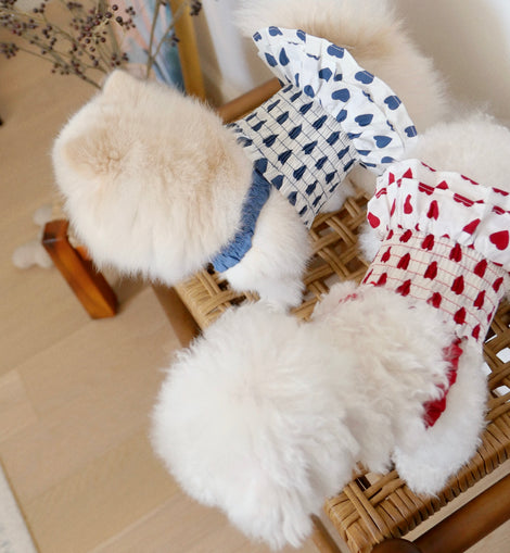 TUTU CUTE DRESS ( BLUE )