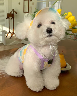 COLORFUL SPORTS SUIT TANK (WITH HAT)